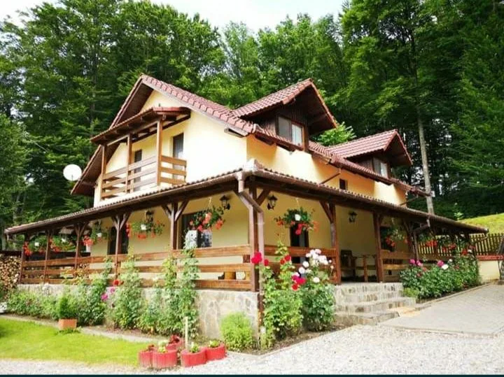 Casa de vacanta Natalia-Valea Avigului · Porumbacu de Sus, Sibiu — Porumbacu de Sus, Sibiu