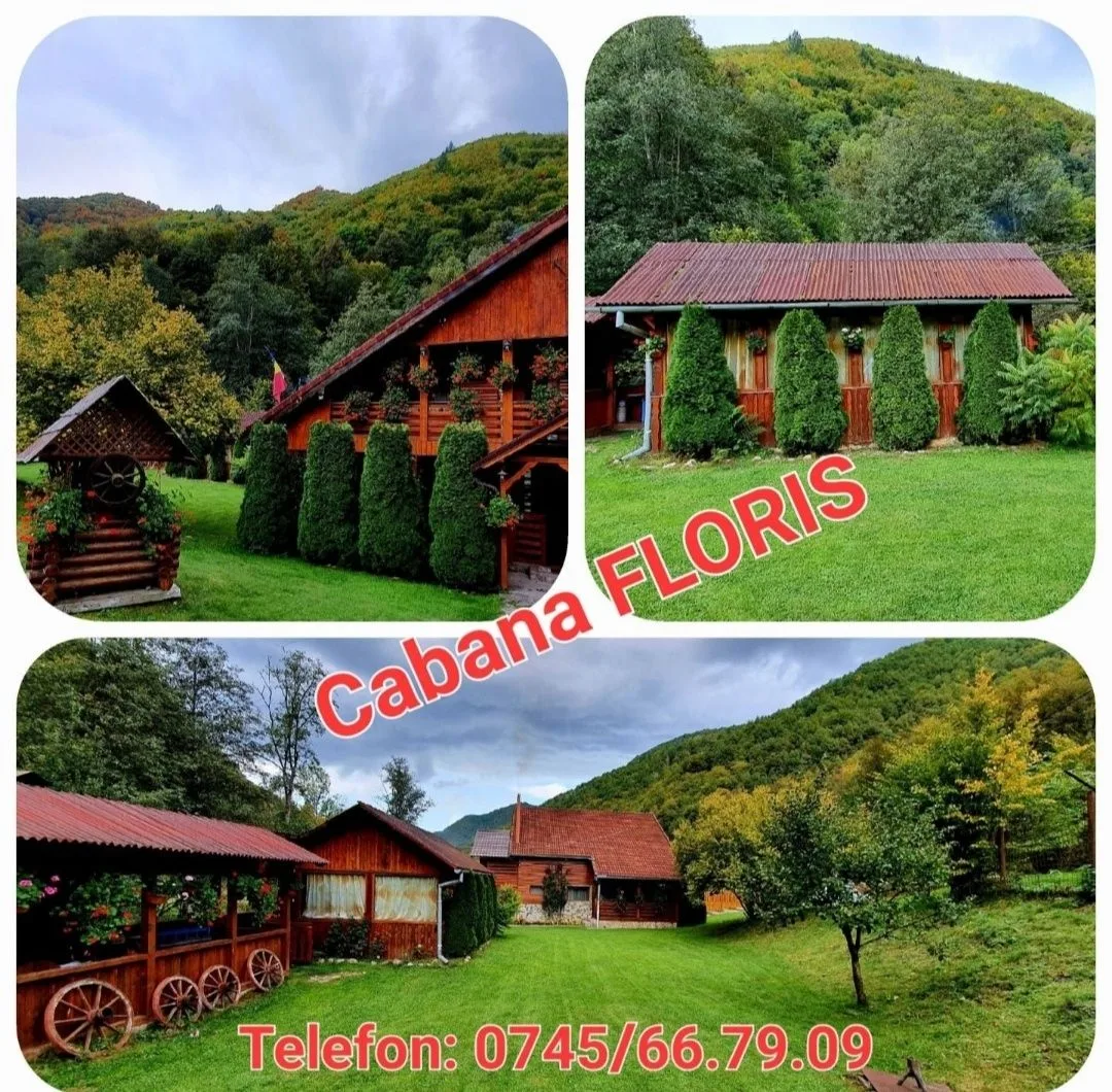 Cabana Floris de inchiriat · Dobra, Alba — Dobra, Alba