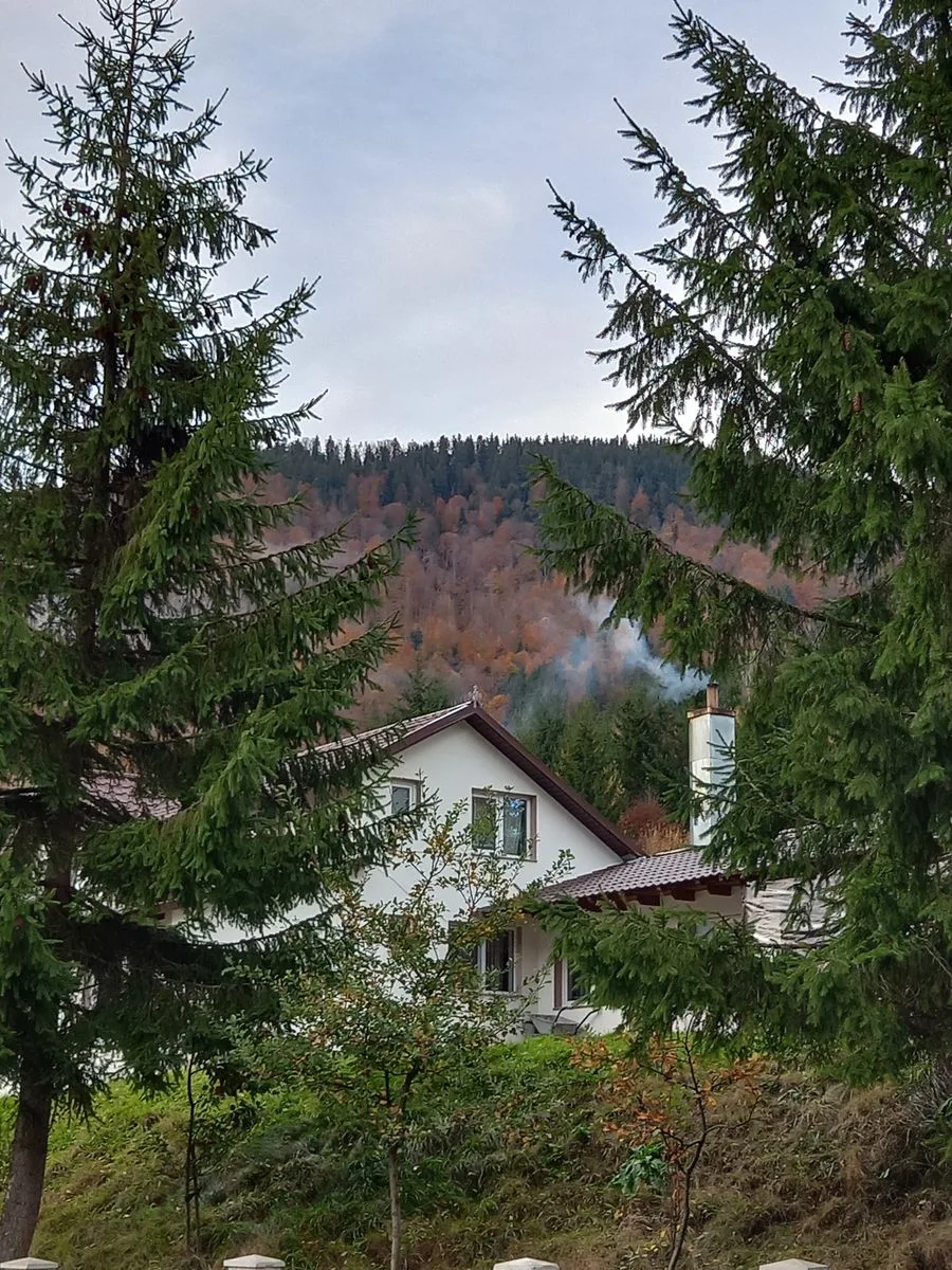 Cabana Revelion- Închiriez cabana de  la Piatra-Fântânele, jud. B-N. · Piatra Fantanele, Brașov — Piatra Fantanele, Brașov