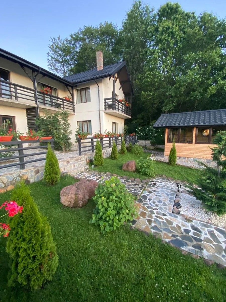 Pensiune,Cazare,Regim hotelier,Camere.Revelion,Sărbători de inchiriat,Închirier · Sohodol, Brașov — Sohodol, Brașov