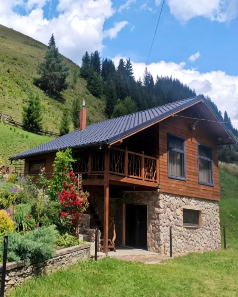 Cabana Ryan — Dămuc, Neamț