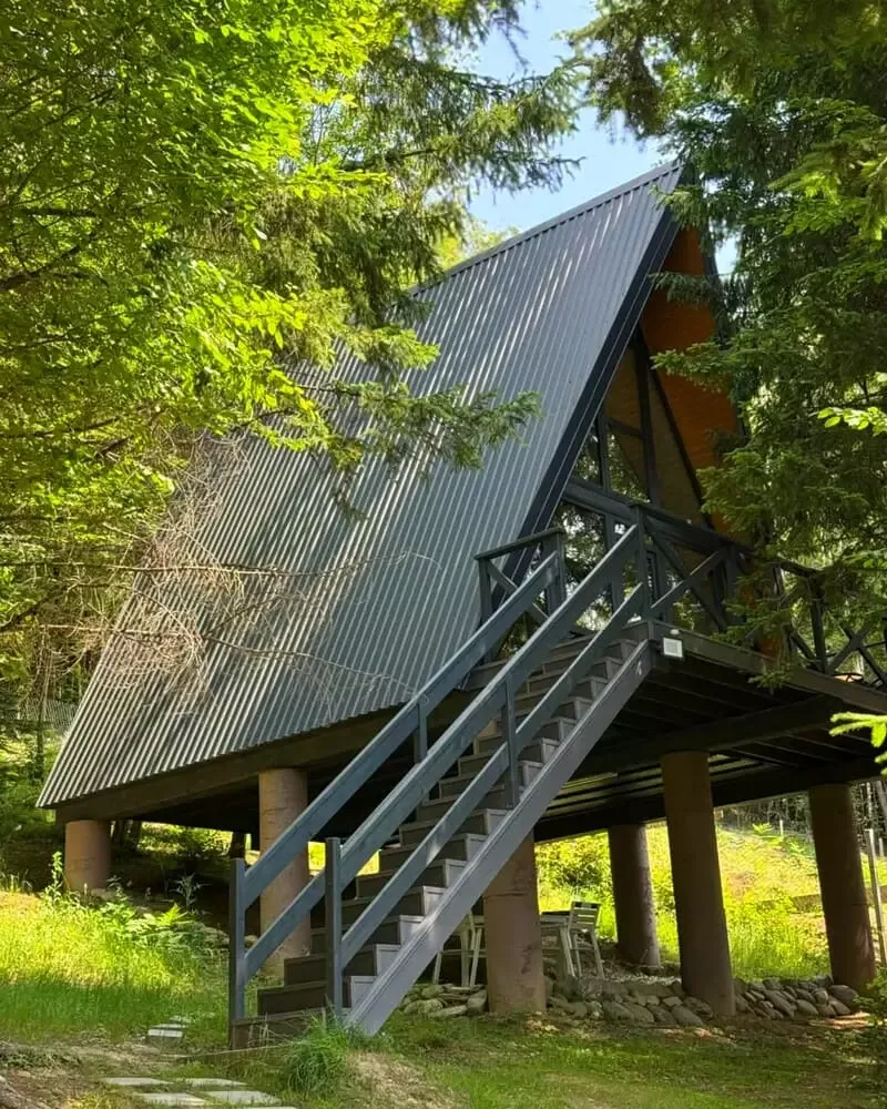 Cuib de Vultur · Valea Avrigului, Sibiu — Valea Avrigului, Sibiu