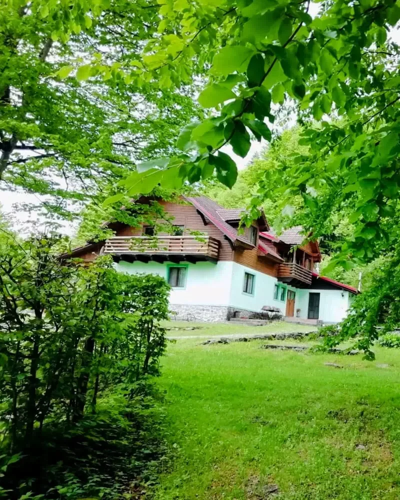 Saratura Cerbilor · Valea Avrigului, Sibiu — Valea Avrigului, Sibiu