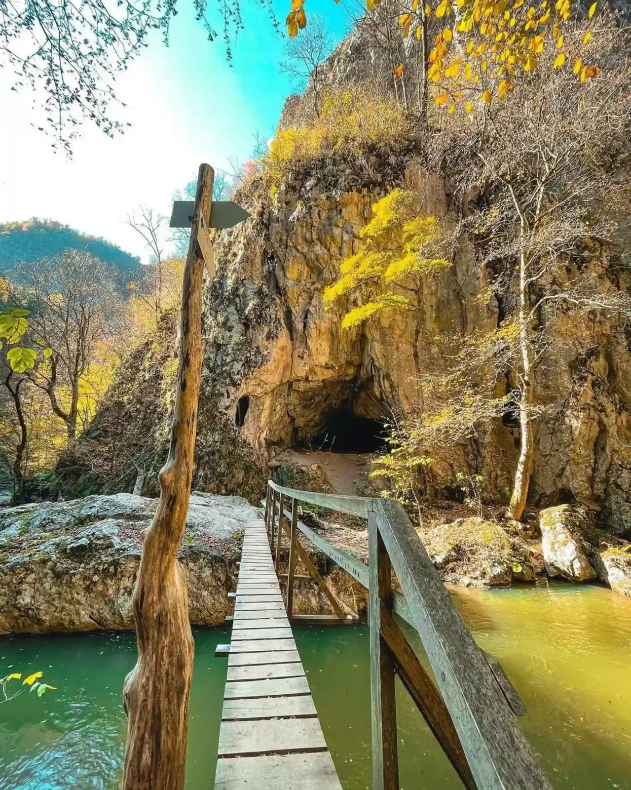 Transylvania Forest Haven — Filia, Covasna